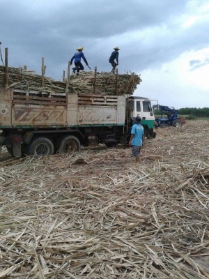 ขายที่ดินรวม 159 ไร่ 2 งาน 55 ตร.ว. พนัสนิคม ชลบุรี