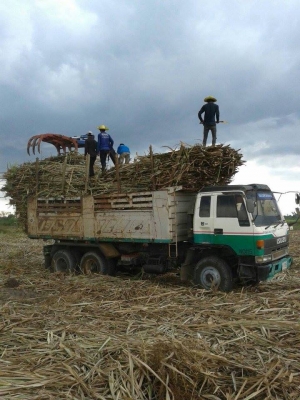 ขายที่ดินรวม 159 ไร่ 2 งาน 55 ตร.ว. พนัสนิคม ชลบุรี