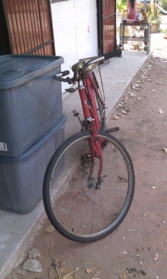 จักรยาน pheasent 24 นิ้ว จักรยาน pheasent 24 นิ้ว