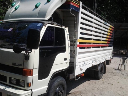 6 ล้อกระบะคอกสแตนเลส 135 แรง ISUZU NPR59LU5