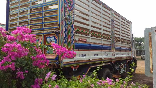 ขายด่วนHINO MEGA380ปี54เบรคแห้ง สองเพลาดั้ม12ล้อสภาพเดิมสุดๆ จัดแนนท์ได้1650000บาทราคาเบาๆโทร0856842587