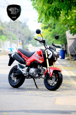 #จัดโปโมชั่นใหม่ลดราคาสุดๆ.รถต้นแบบ MGX มังกี้ กอลิล่า แต่ง มี100 แบบให้เลือก ราคาเริ่มต้น.......