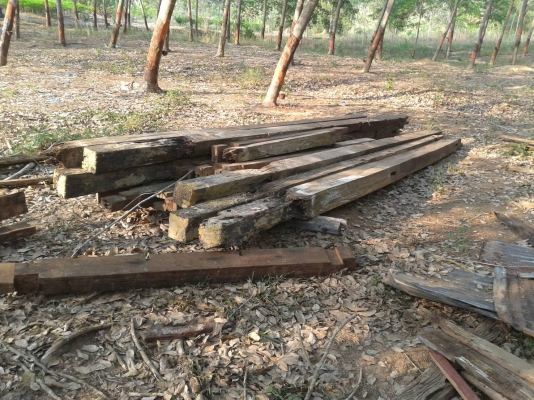 ขายไม้บ้านเก่ามีไม้ตะเคียน ไม้ตะเกา ไม้กะแบกประมาณ30ยก ขายไม้บ้านเก่ามีไม้ตะเคียน ไม้ตะเกา ไม้กะแบกประมาณ30ยก