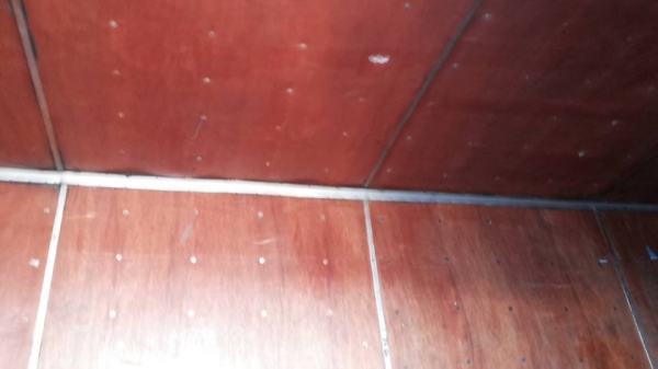 **28,000 บ.ต่อรอง/// ตู้บรรทุก ตู้แห้ง เปิด3บาน ยาว4.65ม.(5.0ม.) สำหรับ รถ6ล้อ สภาพดีไม่ผุ พร้อมใช้งาน **ขาย ตู้แห้ง เปิด3บาน ยกลงจากNPR-115 5.0ม. สภาพพร้อมใช้ ราคาเบาๆ ตู้บรรทุก/ตู้แห้ง 3บาน สำหรับรถบรรทุก6ล้อ ครับ ขนาดตู้โดยประมาณ กว้าง2.1xสูง1.80ม.xยาว **28,000 บ.ต่อรอง/// ตู้บรรทุก ตู้แห้ง เปิด3บาน ยาว4.65ม.(5.0ม.) สำหรับ รถ6ล้อ สภาพดีไม่ผุ พร้อมใช้งาน **ขาย ตู้แห้ง เปิด3บาน ยกลงจากNPR-115 5.0ม. สภาพพร้อมใช้ ราคาเบาๆ ตู้บรรทุก/ตู้แห้ง 3บาน สำหรับรถบรรทุก6ล้อ ครับ ขนาดตู้โดยประมาณ กว้าง2.1xสูง1.80ม.xยาว