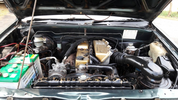 มังกรทองยอดประหนัด ปี2539 89000 บาทด่วนๆ มังกรทองยอดประหนัด ปี2539 89000 บาทด่วนๆ