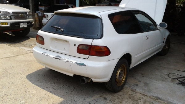 ขายเป็นซาก ขายเป็นซาก