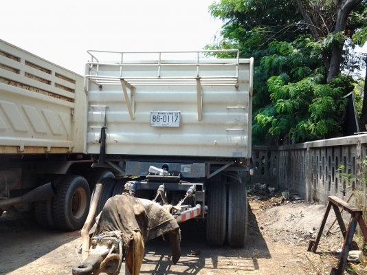 ขายหางพ่วงสามมิตร สามเพลา ซื้อมา ปีกว่าๆไม่ค่อยได้ใช้งาน ยางเดิมติดรรถ ขายหางพ่วงสามมิตร สามเพลา ซื้อมา ปีกว่าๆไม่ค่อยได้ใช้งาน ยางเดิมติดรรถ