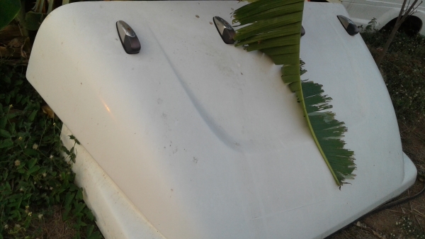 ลูกค้ามารับตู้กลับบ้าน เรียบร้อยครับ รถกะบะ วีโก้ สภาพใหม่ยังไม่ได้ใช้งาน พร้อมหมวกแจ๊ฟ ราคา 29,0,00บ ตู้แห้ง สวยๆครับท่าน ลูกค้ามารับตู้กลับบ้าน เรียบร้อยครับ รถกะบะ วีโก้ สภาพใหม่ยังไม่ได้ใช้งาน พร้อมหมวกแจ๊ฟ ราคา 29,0,00บ ตู้แห้ง สวยๆครับท่าน