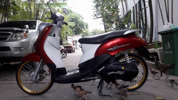 ขายลูกเดียว fino ปี2550