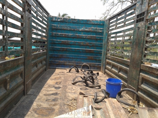 ขายครับหลงตาหวาน M6 260แรง ปี45 แม่ลูกไม่ดั๊ม รถสวยเดิมๆ