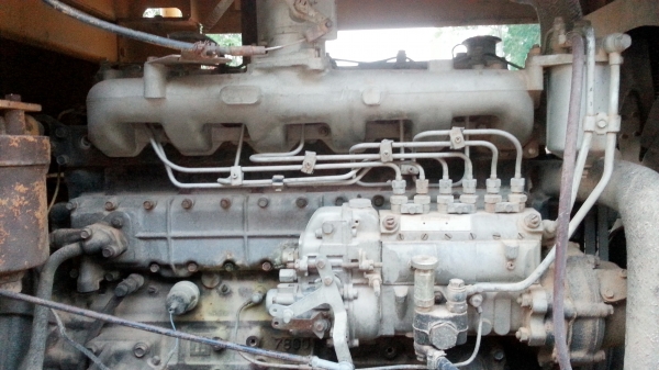 ขายรถตัก TCM ขายรถตัก TCM