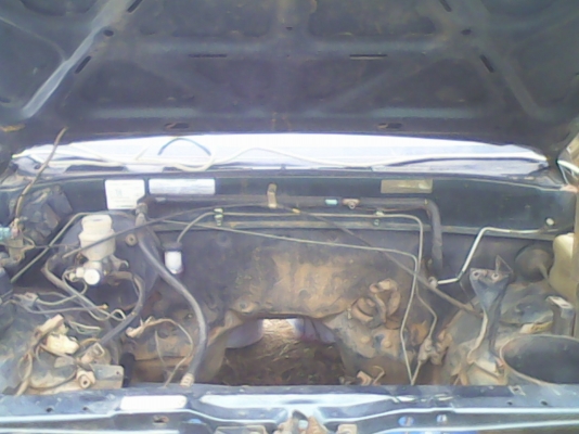 ขายหัว กระบะมังกร