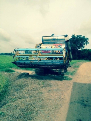 ต้องการขาย