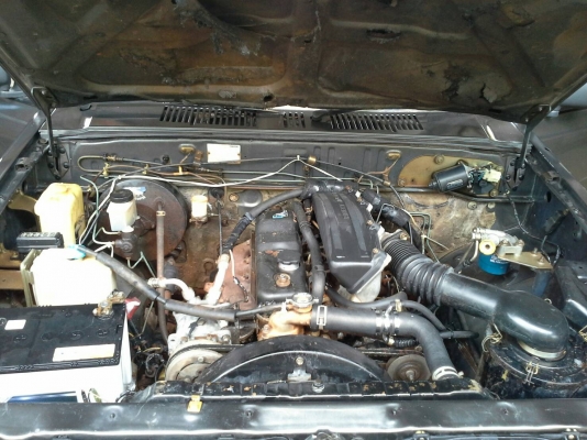 มังกรดำยอดประหยัด ถูกมากๆ 69000 บาทด่วนๆ