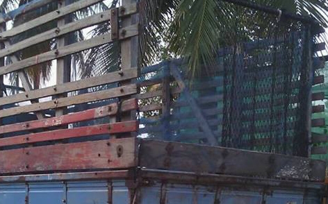 **259,000 บ.ต่อรอง/// 6ล้อบรรทุก ISUZU NPR-100HP ฝาดำ รถประกอบ เครื่อง/เกียร์ เดิม แน่น แรงดี ช่วงล่างใหญ่ Fหน้า-หลัง คัสซีสวยพ.พาวเวอร์ สโลวกลาง หัวยกได้ กระบะคอกไม้ ยาว4.30ม. คอกพอใช้ยาง8.25/16 สภาพ65\% ตามสภาพ พร้อมใช้งาน เล่มทะเบียน ครบ **ขาย ISUZU NPR **259,000 บ.ต่อรอง/// 6ล้อบรรทุก ISUZU NPR-100HP ฝาดำ รถประกอบ เครื่อง/เกียร์ เดิม แน่น แรงดี ช่วงล่างใหญ่ Fหน้า-หลัง คัสซีสวยพ.พาวเวอร์ สโลวกลาง หัวยกได้ กระบะคอกไม้ ยาว4.30ม. คอกพอใช้ยาง8.25/16 สภาพ65\% ตามสภาพ พร้อมใช้งาน เล่มทะเบียน ครบ **ขาย ISUZU NPR