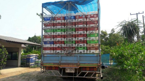 ขาย10ล้อ1เพลา isuzu เดก้า165 6BD1 แชชซีสวยเครื่องดี เอกสารเล่มทะเบียนครบ สภาพพพร้อมวิ่งงาน เพาเวอร์ เบรคทิ๊ฟฟี่