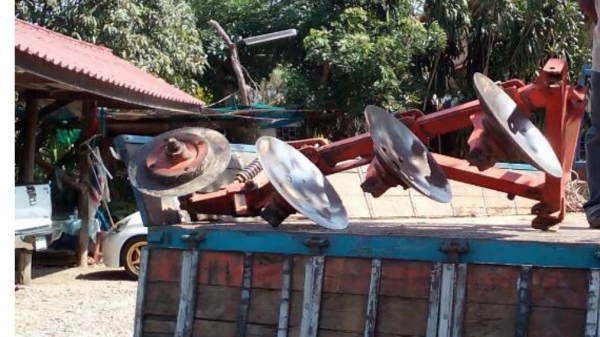 ผาน 3 *22 ใบเต็มลุกแน่น