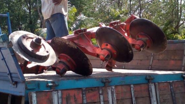 ผาน 3 *22 ใบเต็มลุกแน่น