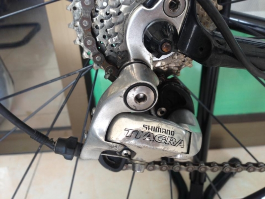 เสือหมอบ Trek SL 1000 สวยงาม เสือหมอบ Trek SL 1000 สวยงาม