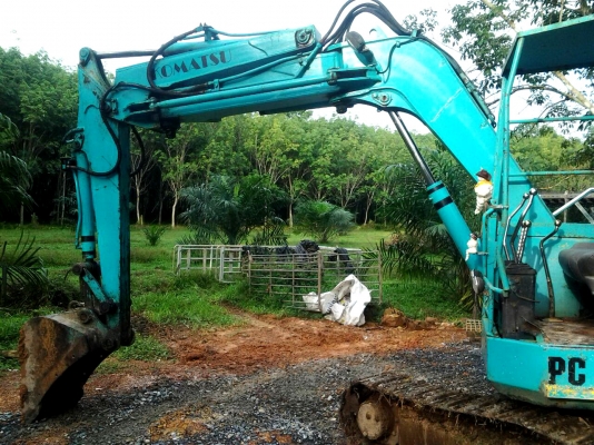 ขายรถแบคโฮ KOMATSU 50uu สภาพพร้อมใช้งานครับ ขายรถแบคโฮ KOMATSU 50uu สภาพพร้อมใช้งานครับ