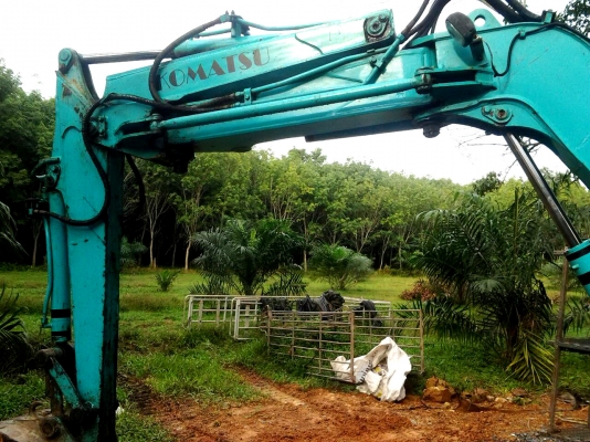 ขายรถแบคโฮ KOMATSU 50uu สภาพพร้อมใช้งานครับ ขายรถแบคโฮ KOMATSU 50uu สภาพพร้อมใช้งานครับ
