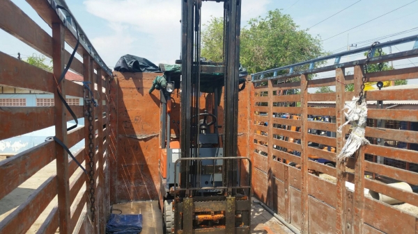 ขายด่วนรถยก TOYOTA 5FGยก1.5ตันยกสูงได้5เมตรเคื่องตัวใหม่4Yยางตัน4เส้นงาสไลย์ได้รถนอกเพิ่งเข้ามายังไม่เคยใช้งานในเมืองไทยเลย=รุ่นใหม่ขายถูกๆๆ