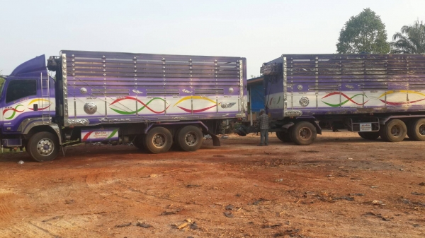 อีซูซุ360ปี55แม่ลูกปลายปี