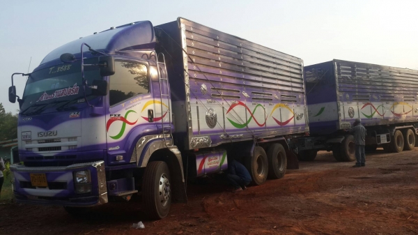 อีซูซุ360ปี55แม่ลูกปลายปี