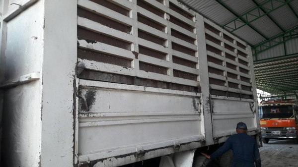 ขายกระบะไม่ดั้ม