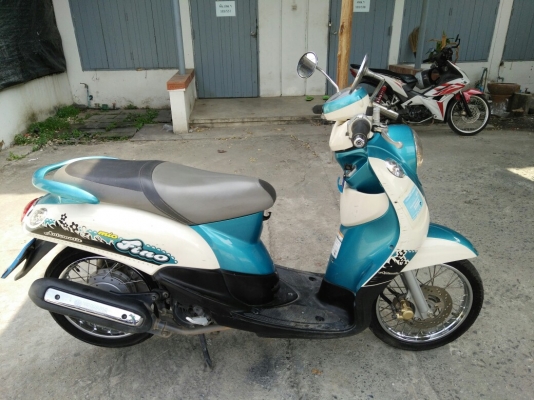 ขายฟีโน่ สวยๆๆ ขายฟีโน่ สวยๆๆ