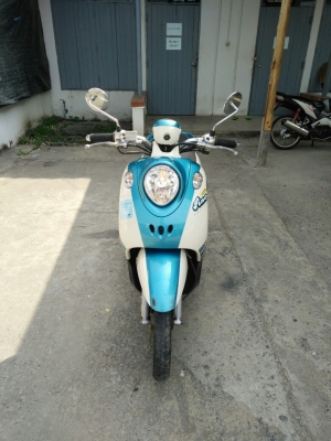 ขายฟีโน่ สวยๆๆ