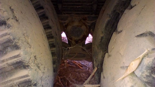 **559,000 บ.ต่อรอง/// 10ล้อเทนเลอร์ ISUZU ROCKY-195 เพลาเดียวท้ายลาดมีหางพับไฮฯ ขน-ย้ายรถเกี่ยวข้าวและแบคโฮ PC120 ได้ เครื่อง/เกียร์ แน่น ช่วงล่างใหญ่ คัสซีสวย หางสวย แข็งแรง ยาง10เส้น สภาพ65\% พร้อมใช้งาน เอกสารเล่มฯ ครบ **ขาย ISUZU ROCKY-195HP 10ล้อ1เพลา **559,000 บ.ต่อรอง/// 10ล้อเทนเลอร์ ISUZU ROCKY-195 เพลาเดียวท้ายลาดมีหางพับไฮฯ ขน-ย้ายรถเกี่ยวข้าวและแบคโฮ PC120 ได้ เครื่อง/เกียร์ แน่น ช่วงล่างใหญ่ คัสซีสวย หางสวย แข็งแรง ยาง10เส้น สภาพ65\% พร้อมใช้งาน เอกสารเล่มฯ ครบ **ขาย ISUZU ROCKY-195HP 10ล้อ1เพลา