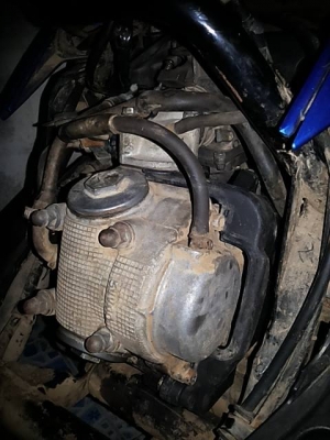 Mio ตาโตเดิมๆ