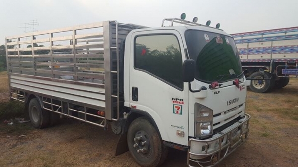 ขาย 6 ล้อ อีซูซุ NPR 150 แรง ปี 55 กระบะสแตนเลส  ยาว 5 ม. สภาพสวย พร้อมใช้  จัดแนนท์ได้ครับ สนใจติดต่อ 081-9420141  ,  081-5715326