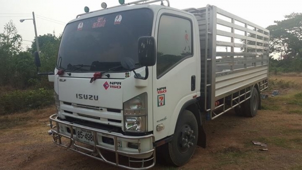 ขาย 6 ล้อ อีซูซุ NPR 150 แรง ปี 55 กระบะสแตนเลส  ยาว 5 ม. สภาพสวย พร้อมใช้  จัดแนนท์ได้ครับ สนใจติดต่อ 081-9420141  ,  081-5715326