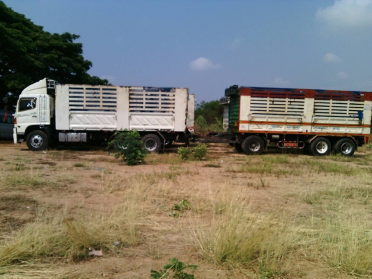 ขายรถพ่วง Hino กระบะสามมิตร