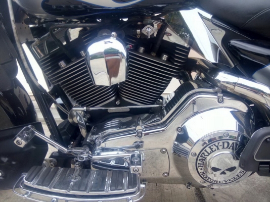 ขาย HD roadking ปี99 ทะเบียนแท้