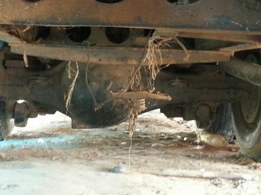 ขายเทรลเลอร์2เพลา แท่นเตี้ย พาวเวอร์ ทิฟฟี่ ยาง825 เอกสารพร้อมโอน สนใจโทร 090-8588220คุณนะ 093-3258446คุณบิว หรือเข้าดูสินค้าอื่นๆได้ที่ www.truck.in.th/498 หรือเพจFacebook ณรงค์ ซื้อขายรถมือสอง (เว็บไซต์ส่วนตัว) หรือFacebook คุณนะ รถบรรทุก