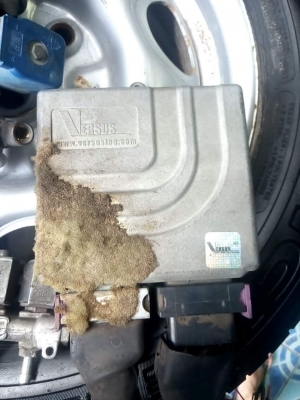 ชุดแก๊สหัวฉีด เวอร์ซูส มือ2  พร้อมถังแคปซูล