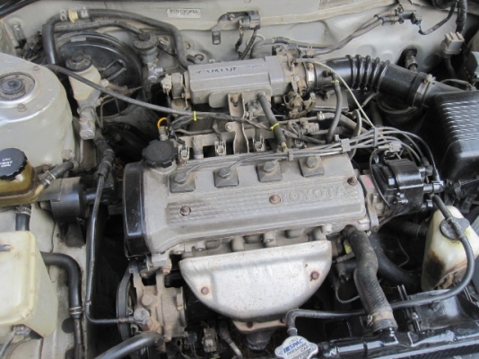 ขายโตโยต้าโคโลล่า สามห่วง ขายโตโยต้าโคโลล่า สามห่วง