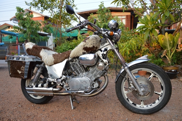 Yamaha Virago 750 ทะเบียนแท้ ตอง 999