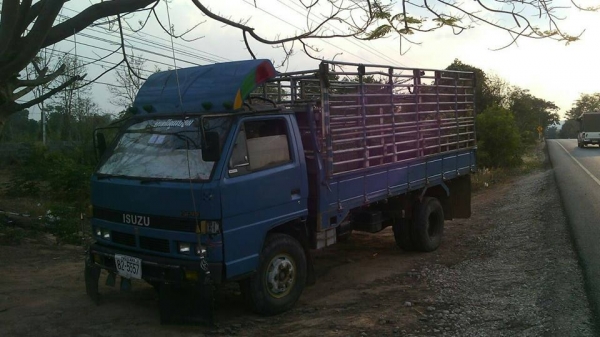 ขายรถ6ล้อ NPR115แรง เครื่องดี แคชซีสวย ยาว4.30เมตร เฟืองท้ายใหญ่ Fหน้าหลัง รถสวยสภาพพร้อมใช้งาน เอกสารพร้อมโอน สนใจโทร 090-8588220คุณนะ 093-3258446คุณบิว หรือเข้าดูสินค้าอื่นๆได้ที่ www.truck.in.th/498 หรือเพจFacebook ณรงค์ ซื้อขายรถมือสอง (เว็บไซต์ส่วนตั