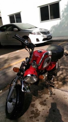 ขายกอลิล่า สีแดง สภาพดี ขายกอลิล่า สีแดง สภาพดี