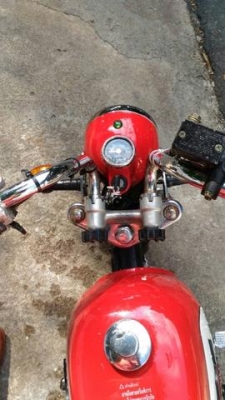 ขายกอลิล่า สีแดง สภาพดี ขายกอลิล่า สีแดง สภาพดี