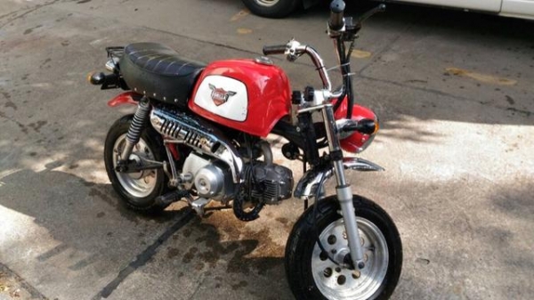 ขายกอลิล่า สีแดง สภาพดี