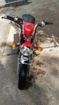 ขายกอลิล่า สีแดง สภาพดี ขายกอลิล่า สีแดง สภาพดี