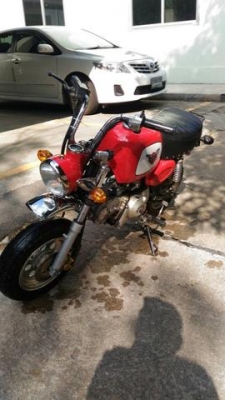 ขายกอลิล่า สีแดง สภาพดี ขายกอลิล่า สีแดง สภาพดี