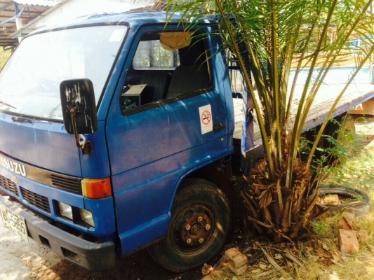 NPRพื้นเรียบ