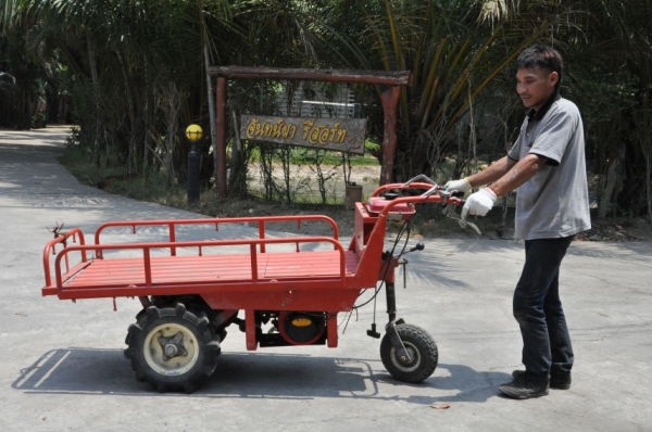 ขายรถบรรทุก3ล้อ mitsubishi มีเกียร์ สภาพ เดิมญี่ปุ่น อะเนคประสงค์ 9,500เท่านั้น!!