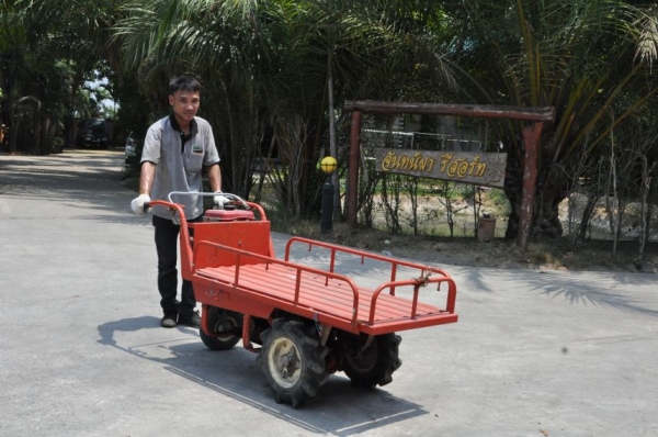 ขายรถบรรทุก3ล้อ mitsubishi มีเกียร์ สภาพ เดิมญี่ปุ่น อะเนคประสงค์ 9,500เท่านั้น!!